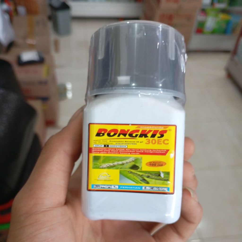 bongkis 30ec 100ml