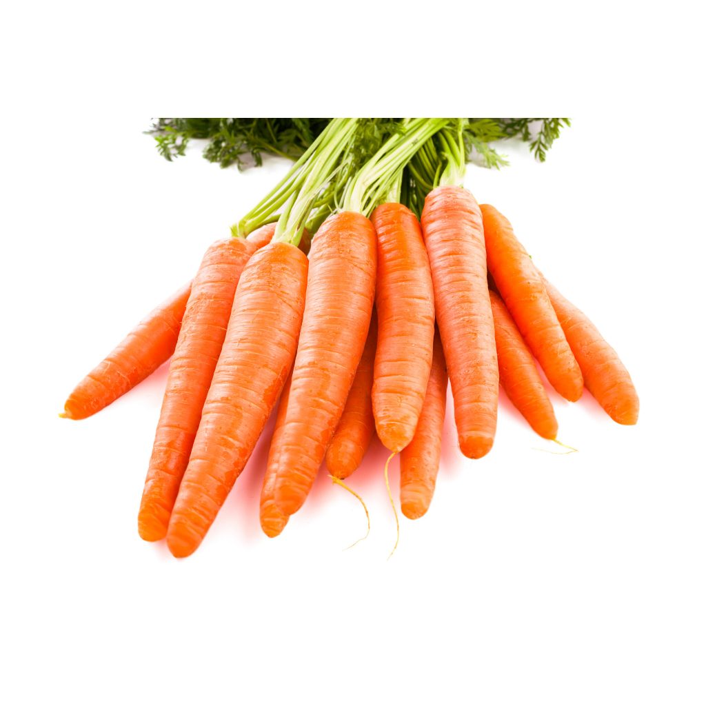 PREMIUM - Bibit Wortel Brastagi