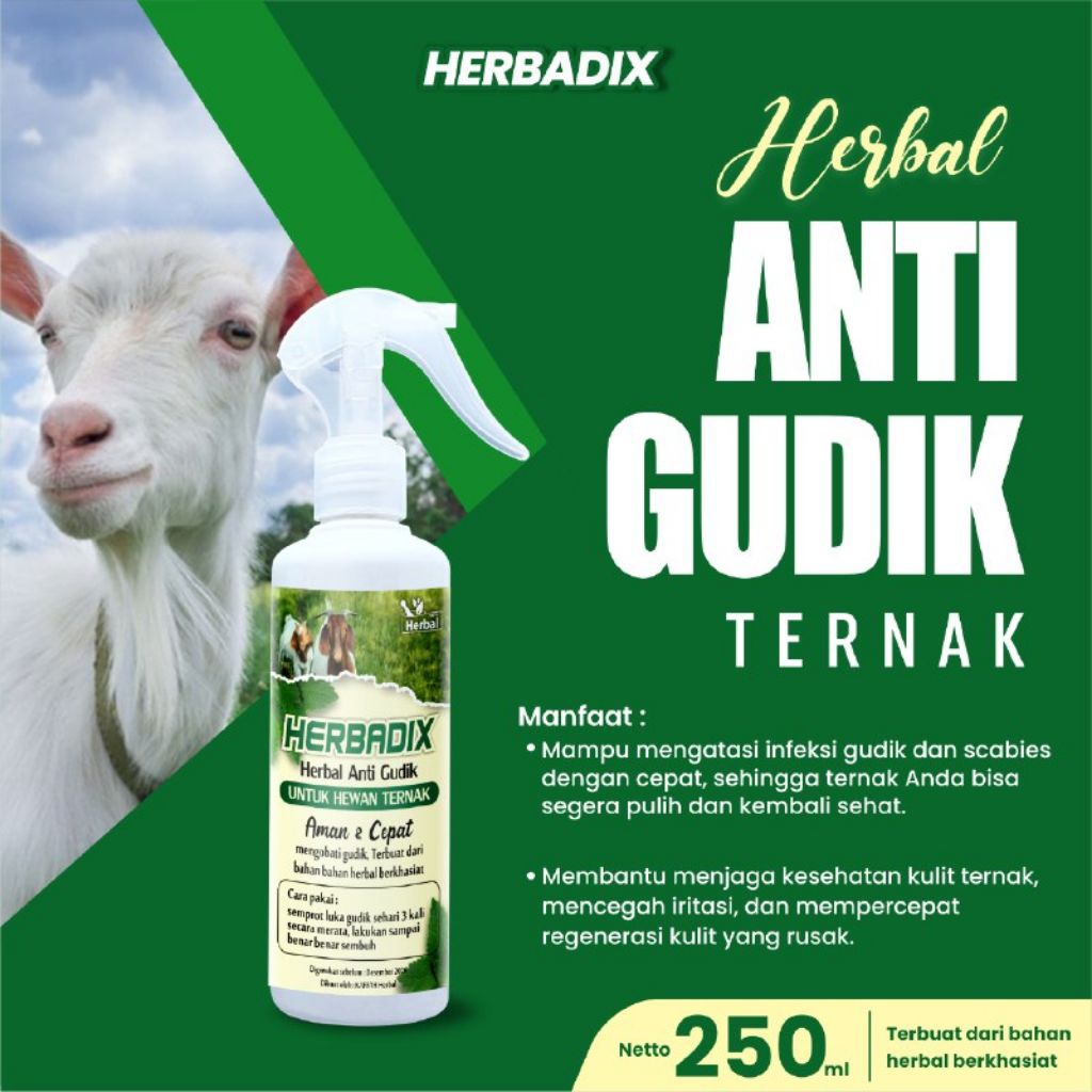 HERBADIX Obat Herbal Gudik ScabiesTernak Kambing Domba Sapi