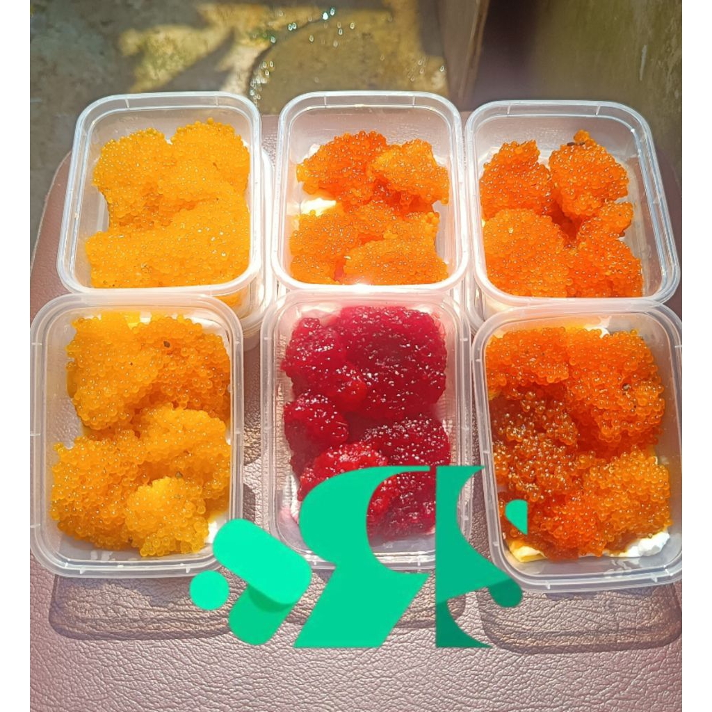 Umpan Galatama lele dan bawal. media TS lobang (telor ikan sapu* yupie jell)