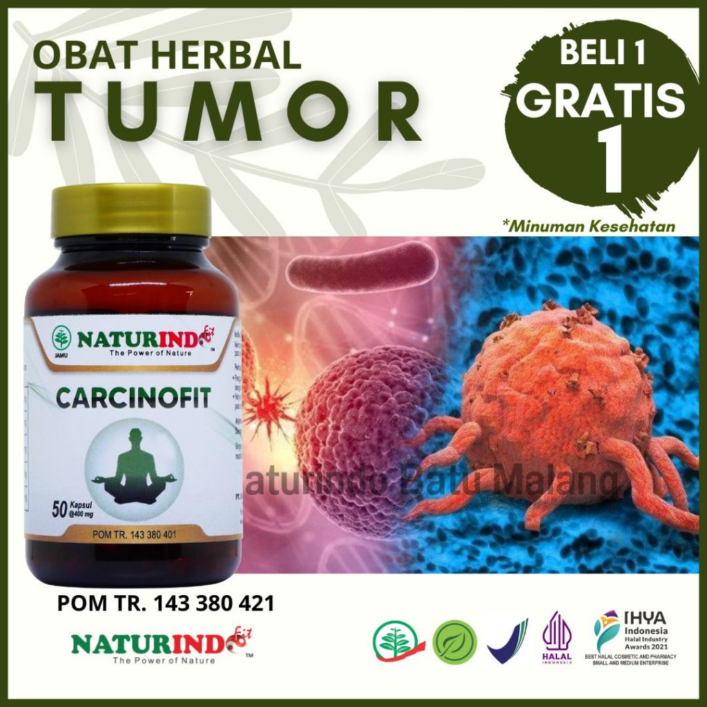 NATURINDO CARCINOFIT Obat Herbal Kanker Obat Kanker dan Tumor Obat Kanker Payudara Obat Kanker Hati 