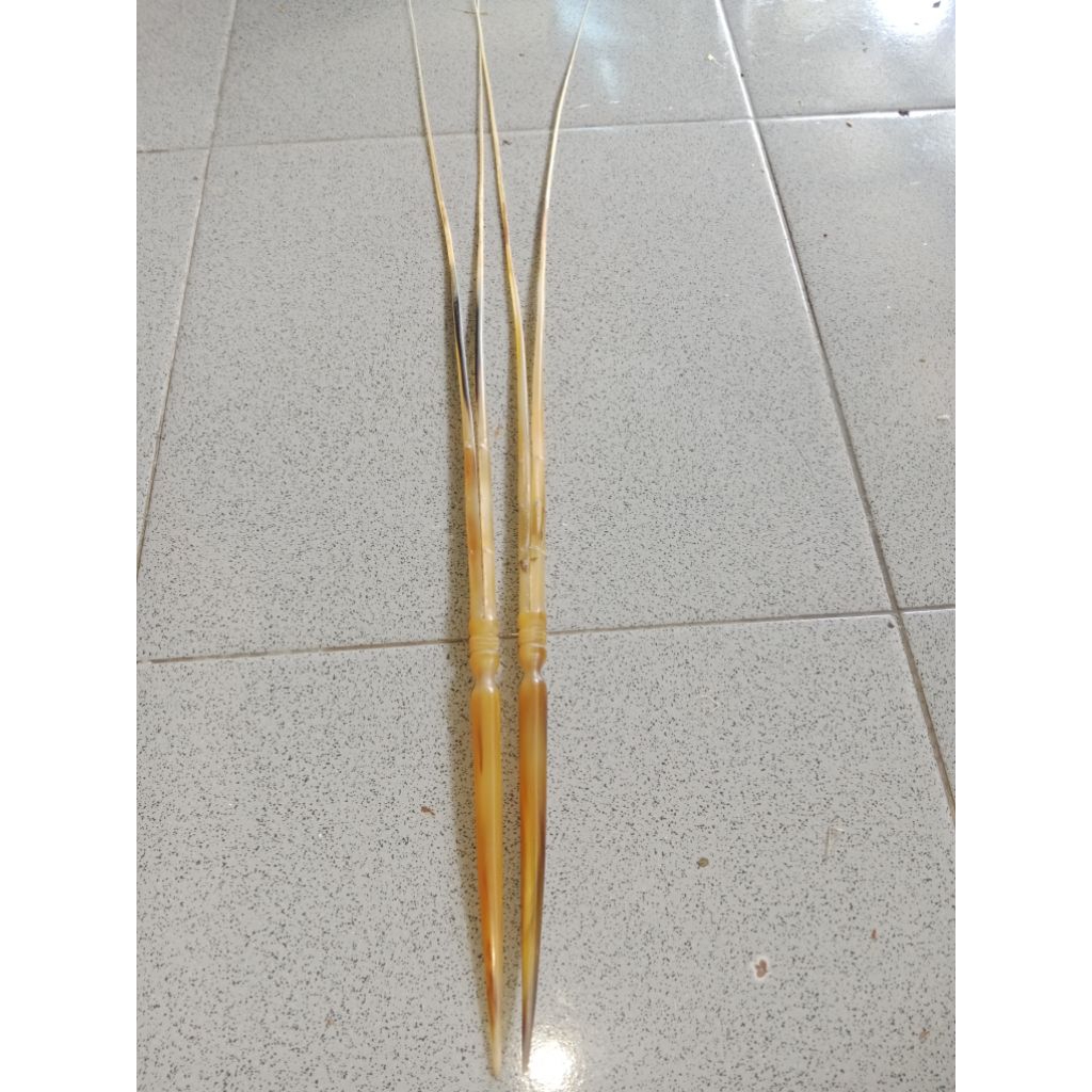 gapit wayang bambangan bule