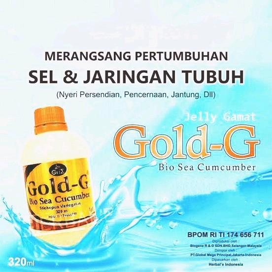 Jelly Gamat Gold G Original - Gamat Emas Gold-G Sea Cucumber Original