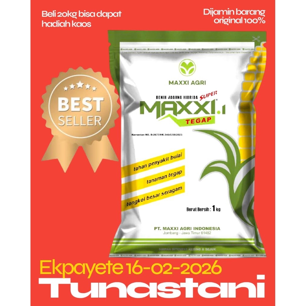 BENIH JAGUNG MAXXI 1 - TEGAP HIBRIDA SUPER  MAXXI AGRI INDONESIA