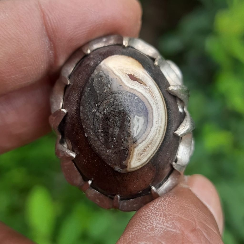 Batu akik fosil kelor bulan sabit combong