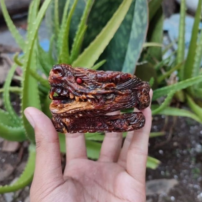Gelang Akar Bahar Merah Ukir Naga Full Sisik Size Jumbo Original / Akar Bahar Asli