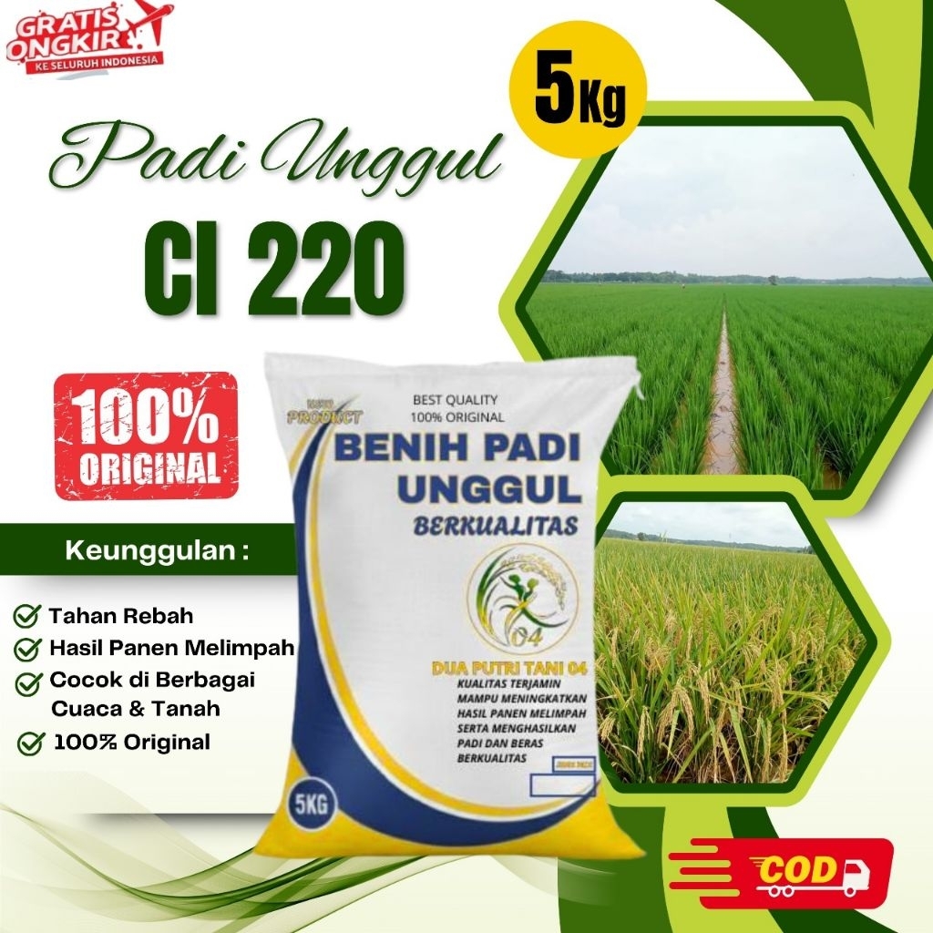 BIBIT PADI CL220 KEMASAN 5KG