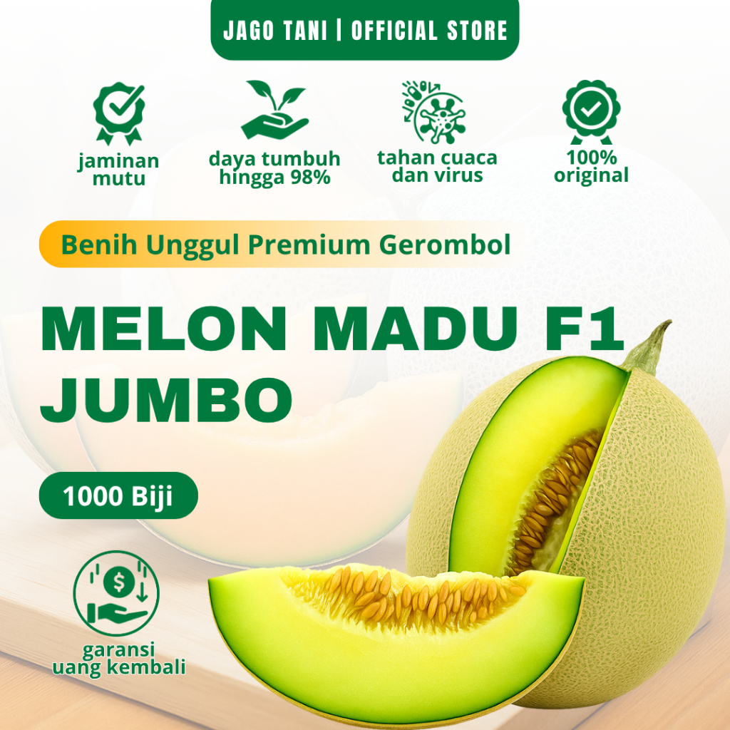 1000 Butir Bibit Biji Benih Tanaman Buah Melon Madu Jumbo Manis Super Besar Tahan Virus
