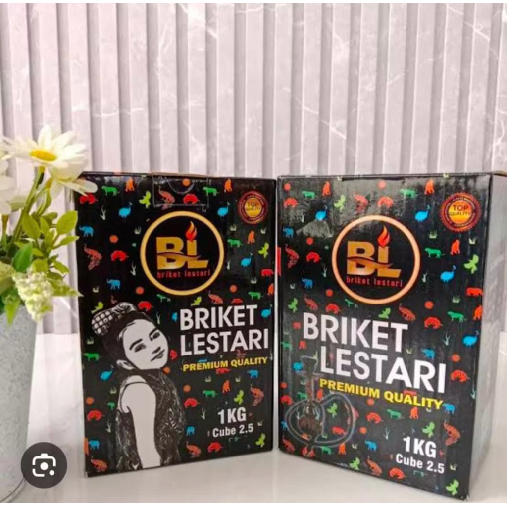 BRIKET LESTARI BRIKET ARANG KELAPA 100%