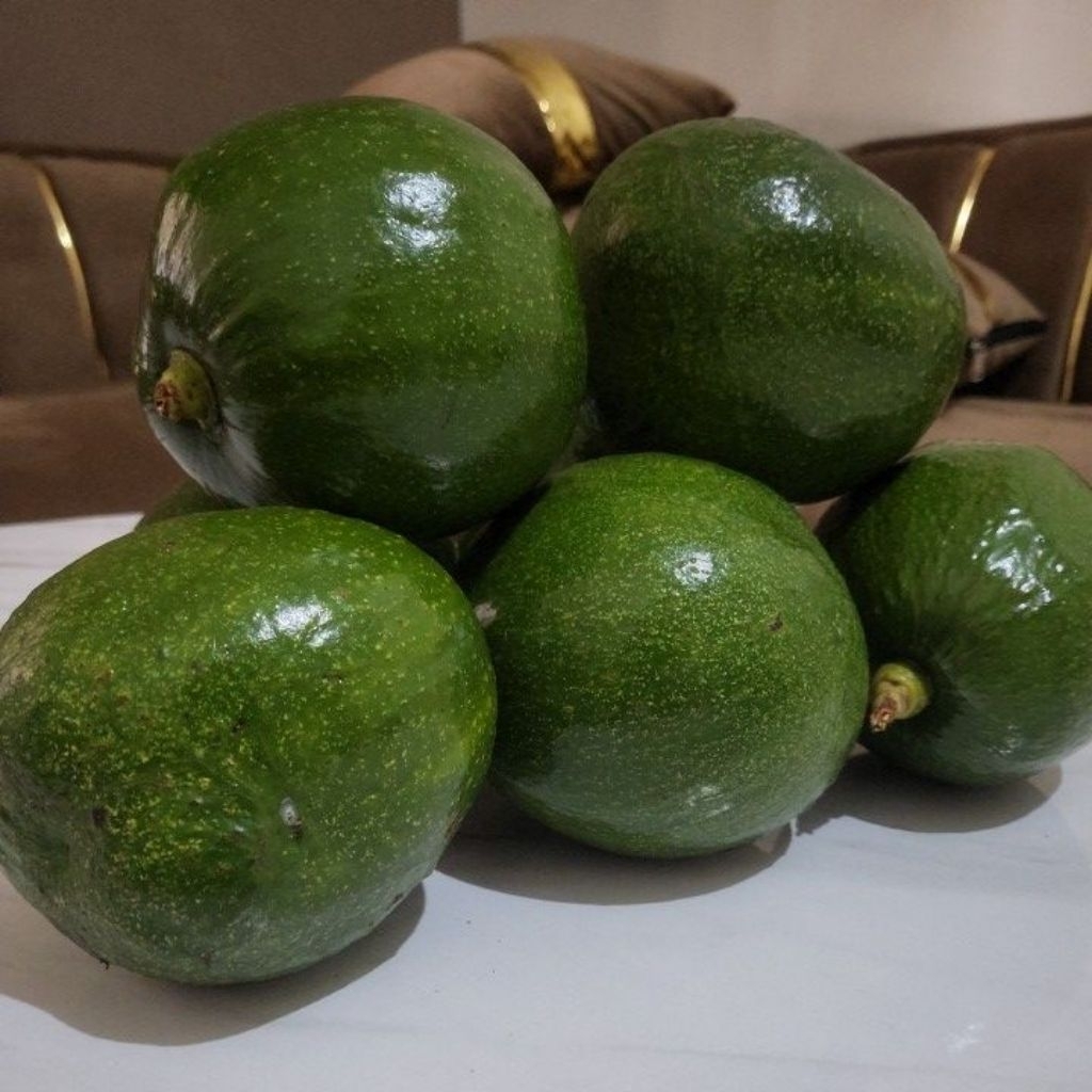 Alpukat kendi/markus/hawai 1kg