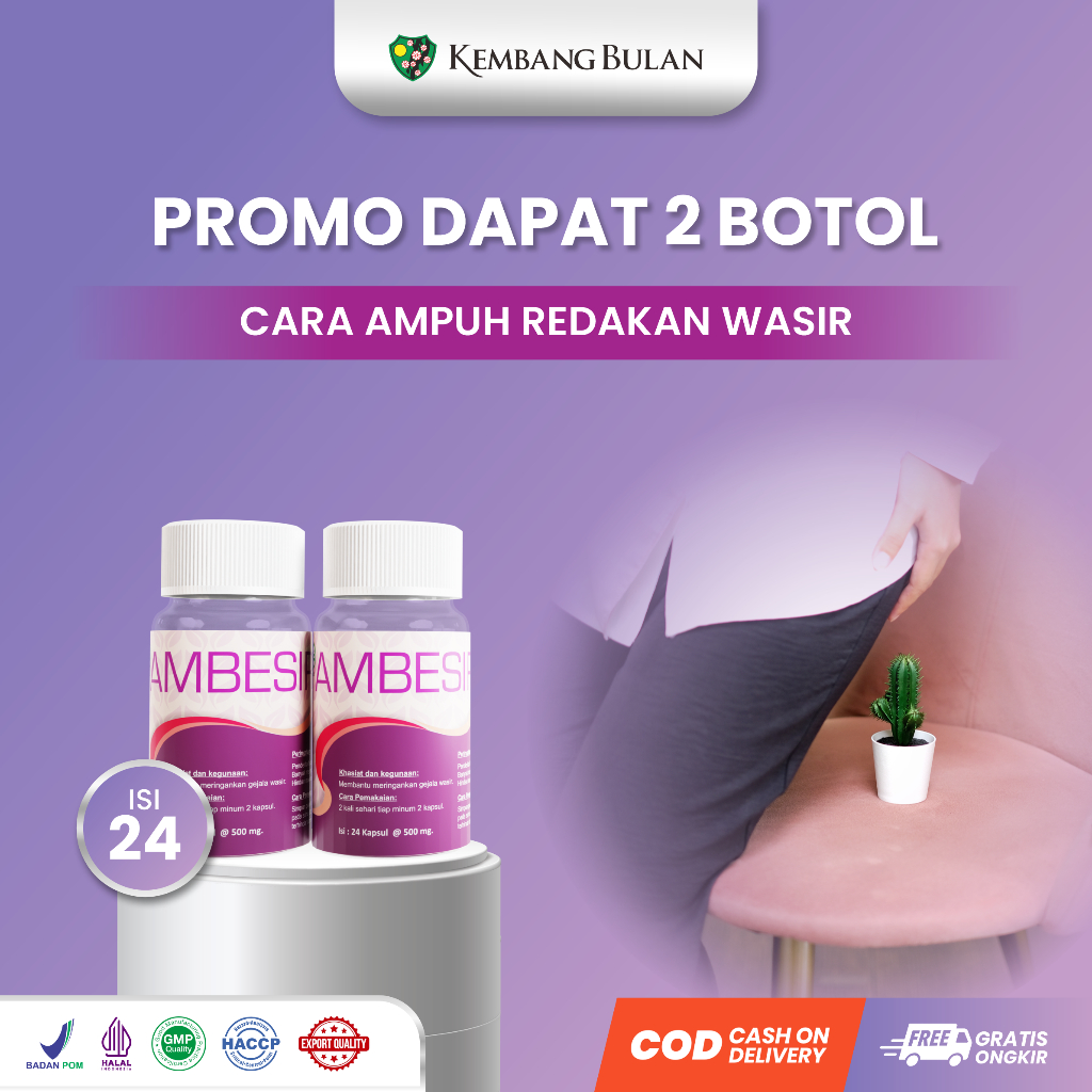 PROMO BUNDLING 2 Botol Ambesir Isi 24 Kapsul Kembang Bulan - Obat Herbal Daun Ungu Wasir Ambeien Amb