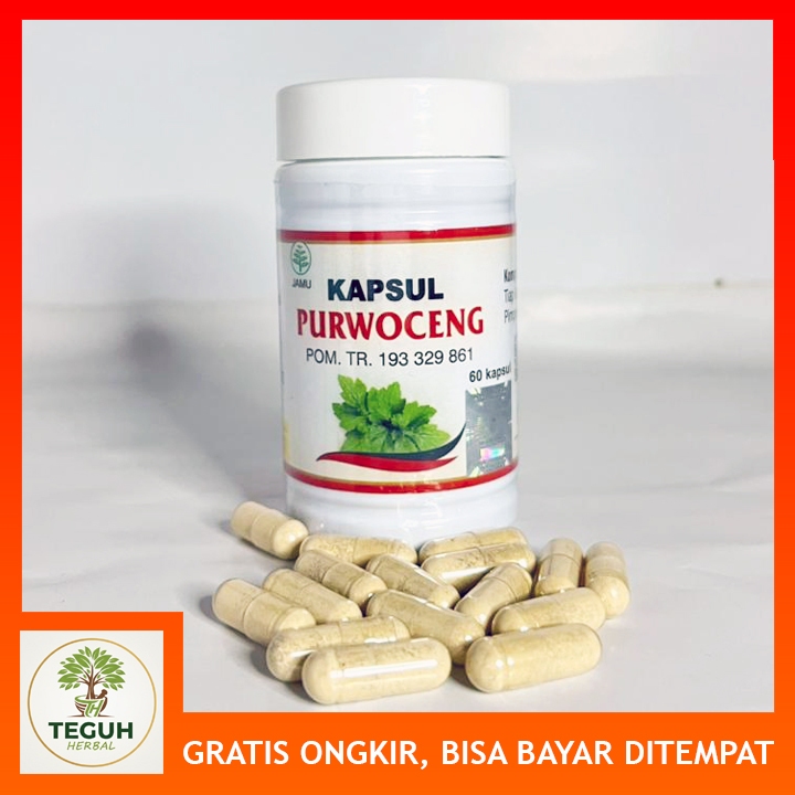 PURWOCENG IMUNITAS PRIA DEWASA SUPLEMEN HERBAL IMUNITAS DAN STAMINA PRIA DEWASA
