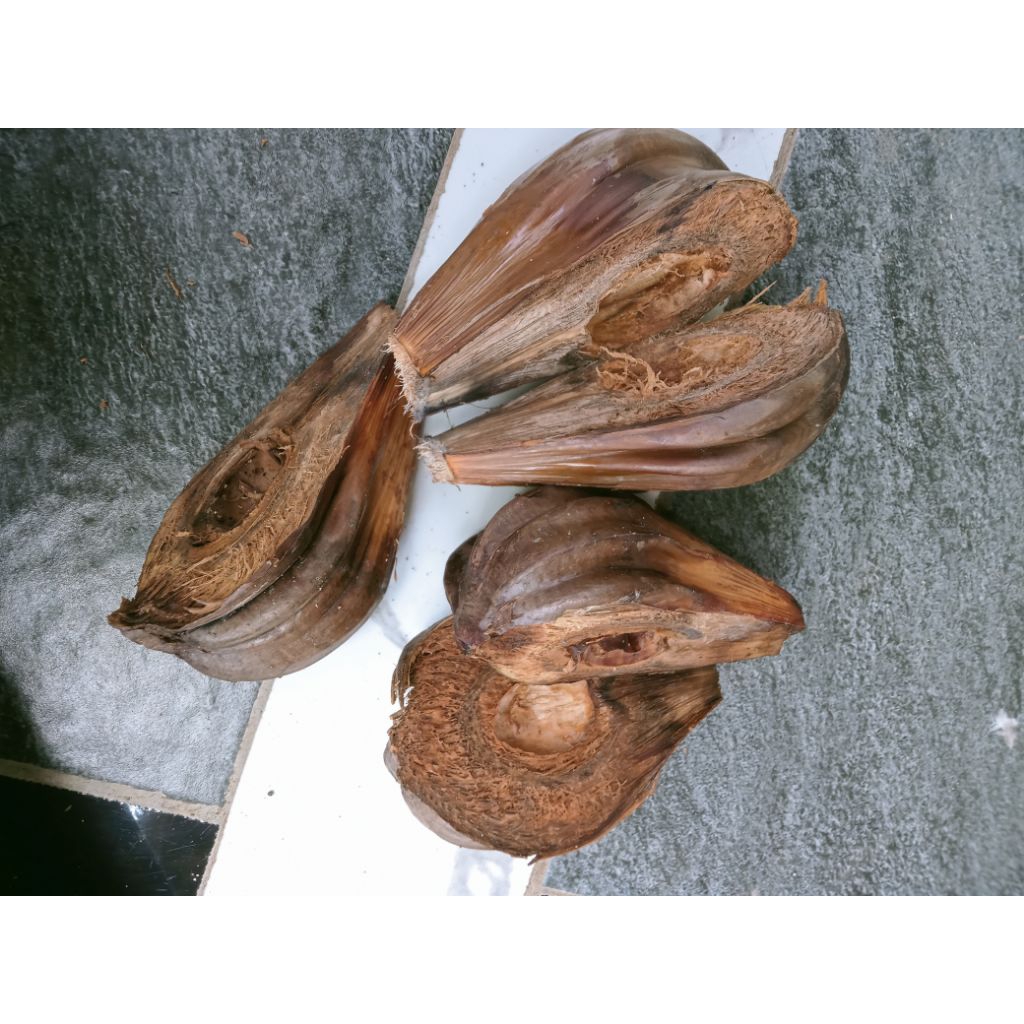 jual kulit/cangkang buah nipah/buah dahon berat 2kg,kerajinan,kering