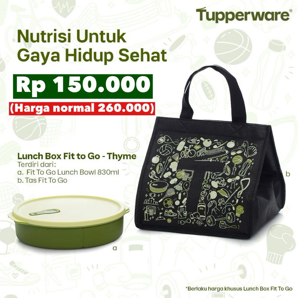 fit to go lunch wadah bekal tupperware