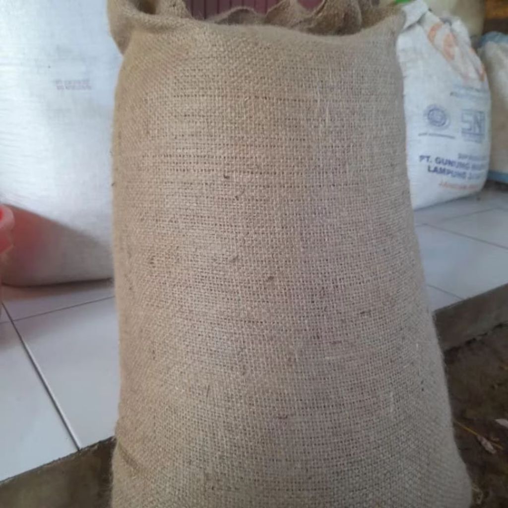 READY STOCK GONI KACANG 50KG 100KG Karung Goni 17 Agustus Goni Balap Karung Goni Kopi Goni Murah Gon