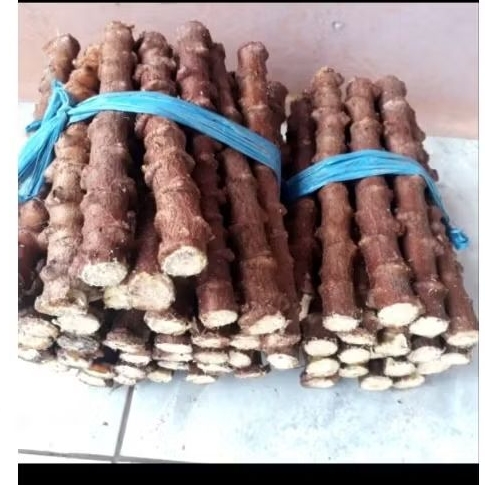 PROMO PAKET 10 BATANG SINGKONG KEJU TERMURAH