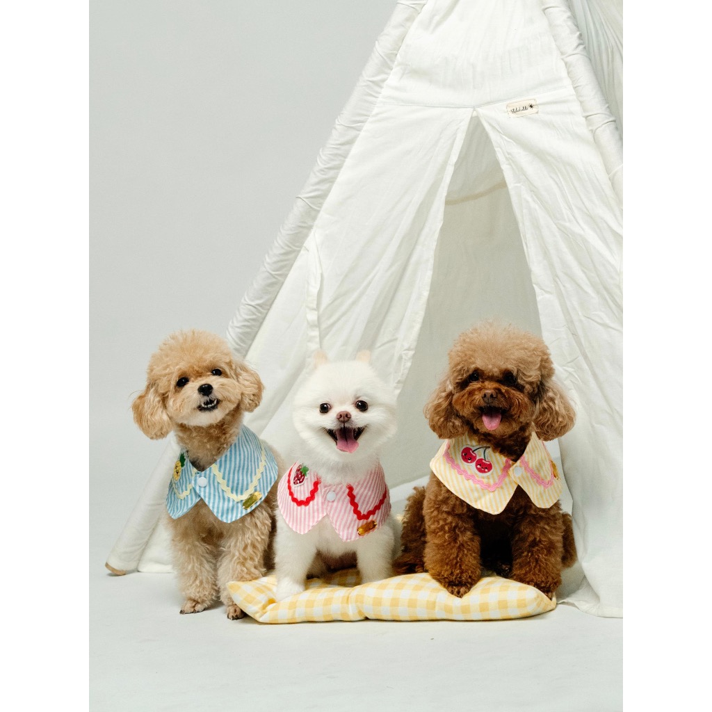 SupawDupawID - Fruitylicious Bandana