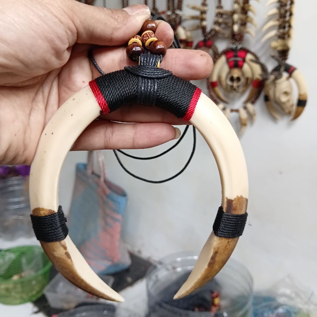 kalung taring babi sepasang jumbo imitasi