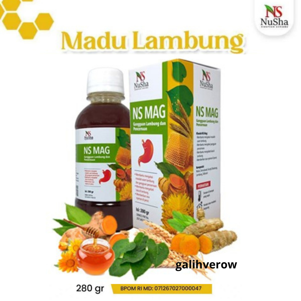 Madu Maag NS MAG (6 in 1) Obat Herbal Asam Lambung GERD / Madu NS MAG 280gr