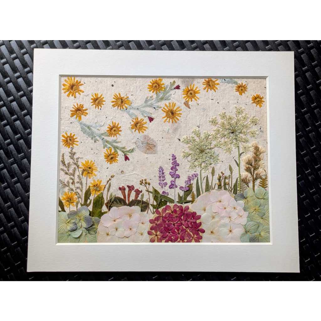Bunga Kering Press-Pressed Dried Flower-Asli & Natural