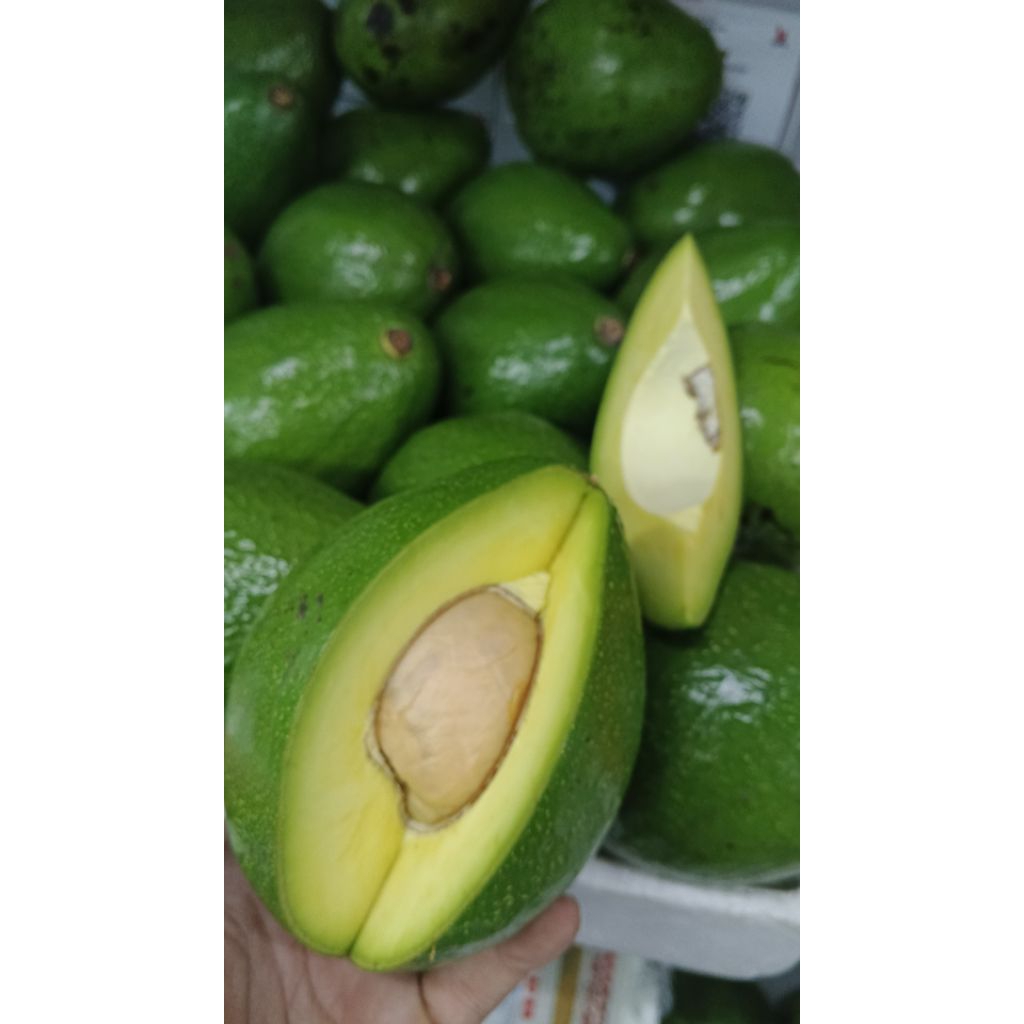 Alpukat Mentega Medan