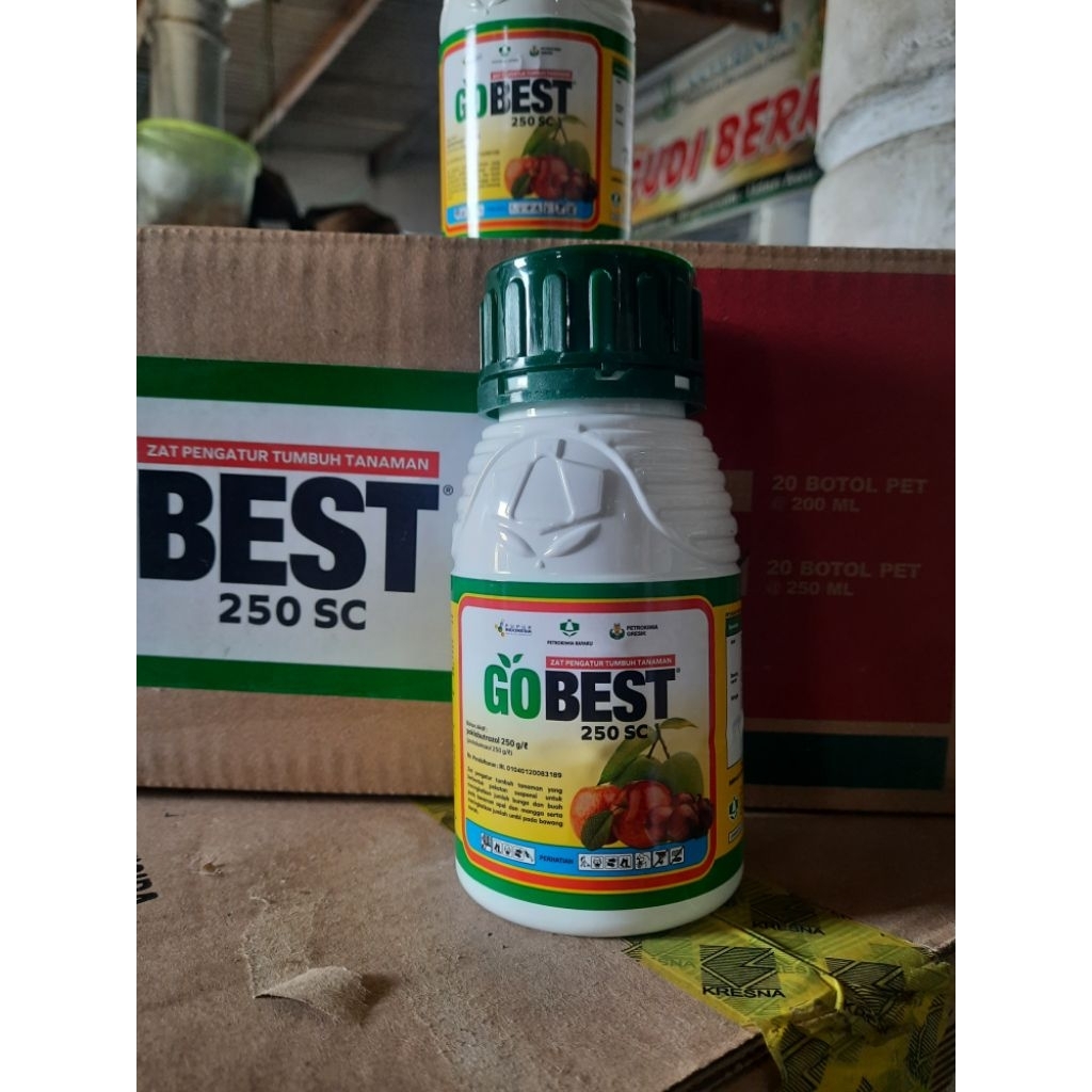 GOBEST ZPT tanaman PEMBESAR UMBI