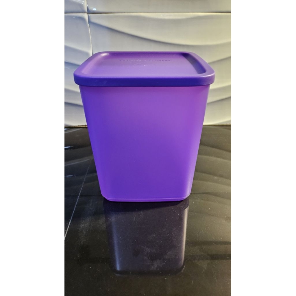 purple large summer fun tupperware