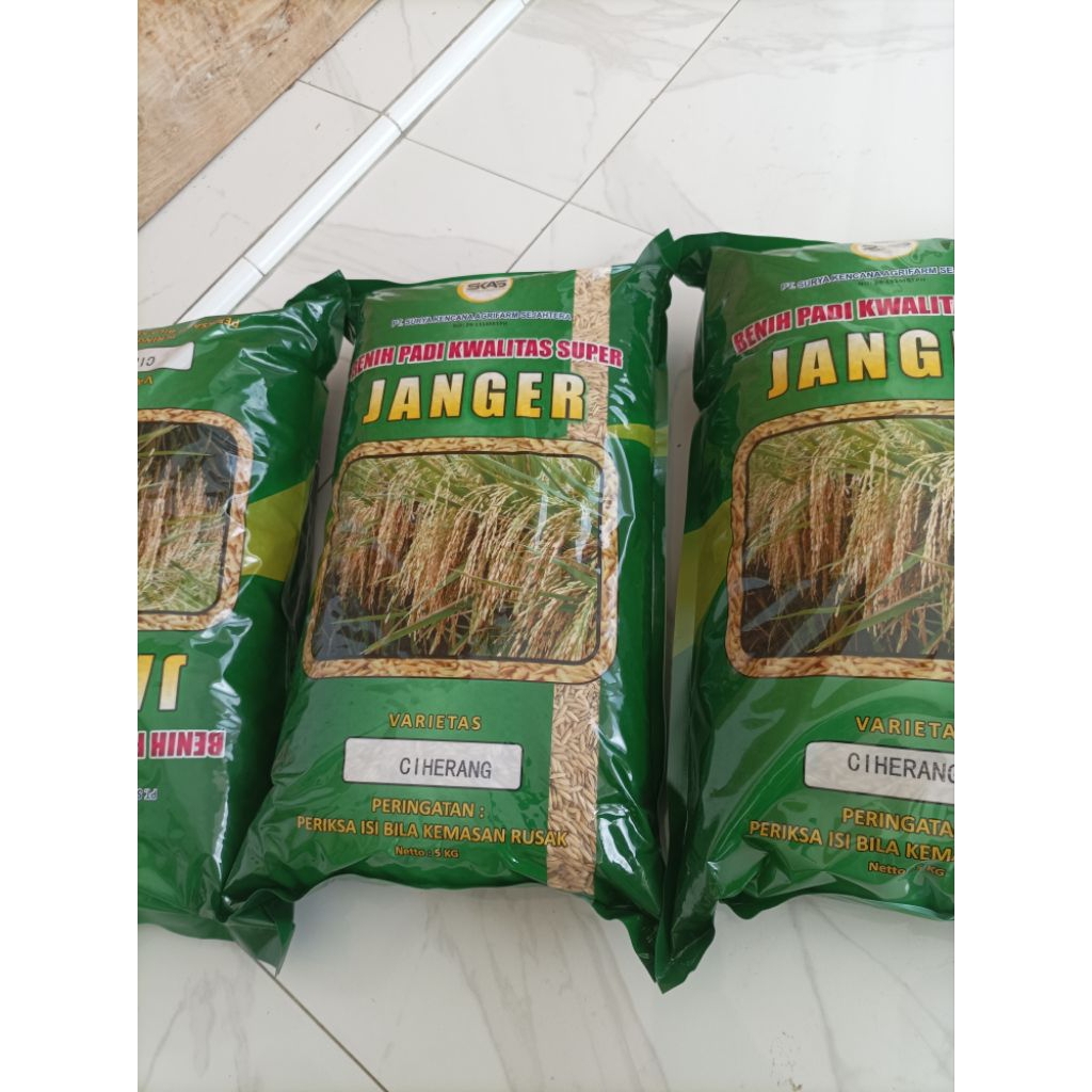 benih padi ciherang janger