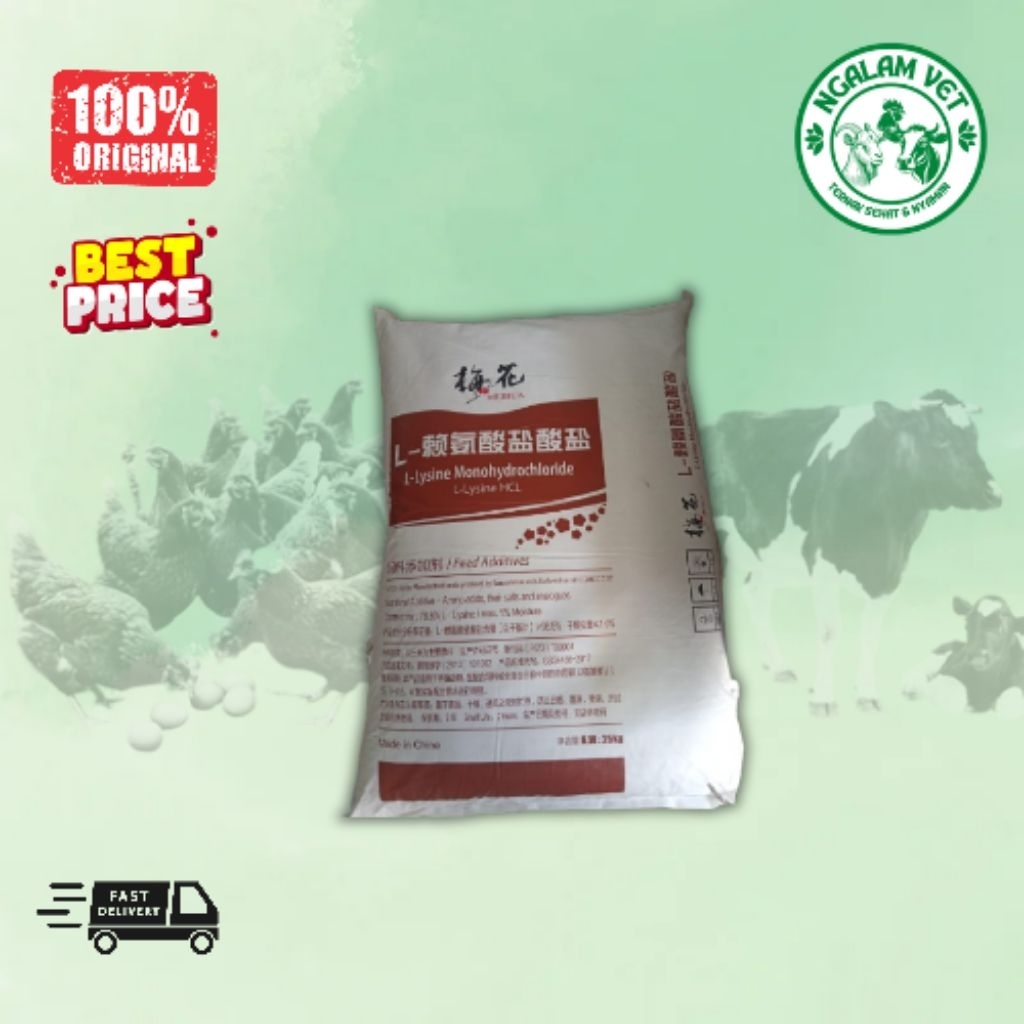 L-LYSINE HCL  Meihua Feed Additive Ayam,Bebek