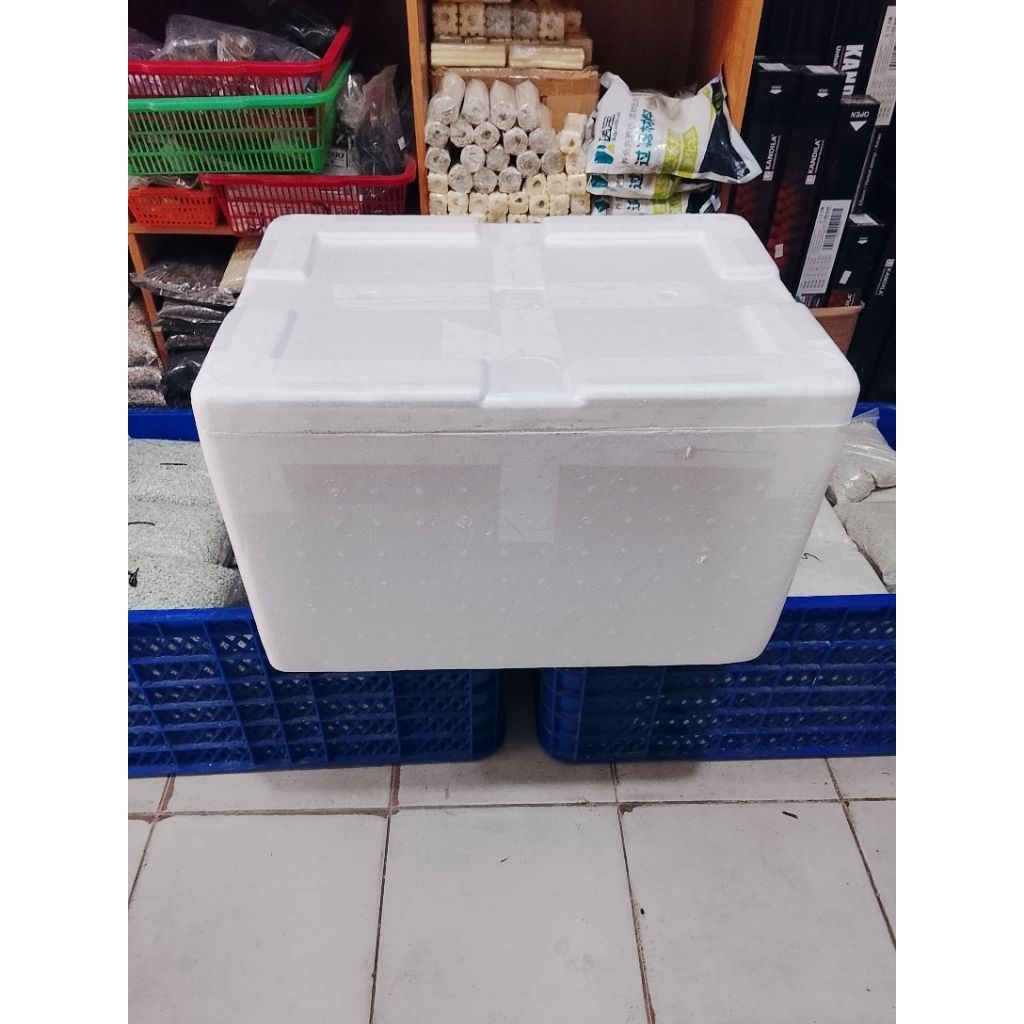 BOX STYROFOAM GG // BEKAS 1 KALI PAKAI // 52x37x34 // TEMPAT PENYIMPANAN MAKANAN // KIRIM IKAN // KI