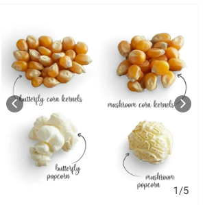 BIJI POPCORN MENTAH | JAGUNG POPCORN INSTAN KUALITAS IMPORT RAISU URBAN