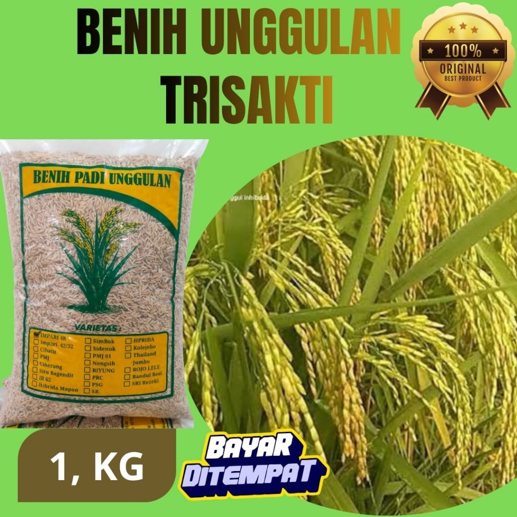 benih padi trisakti unggul TRISAKTI dengan kemasan 1kg benih padi super unggul trisakti