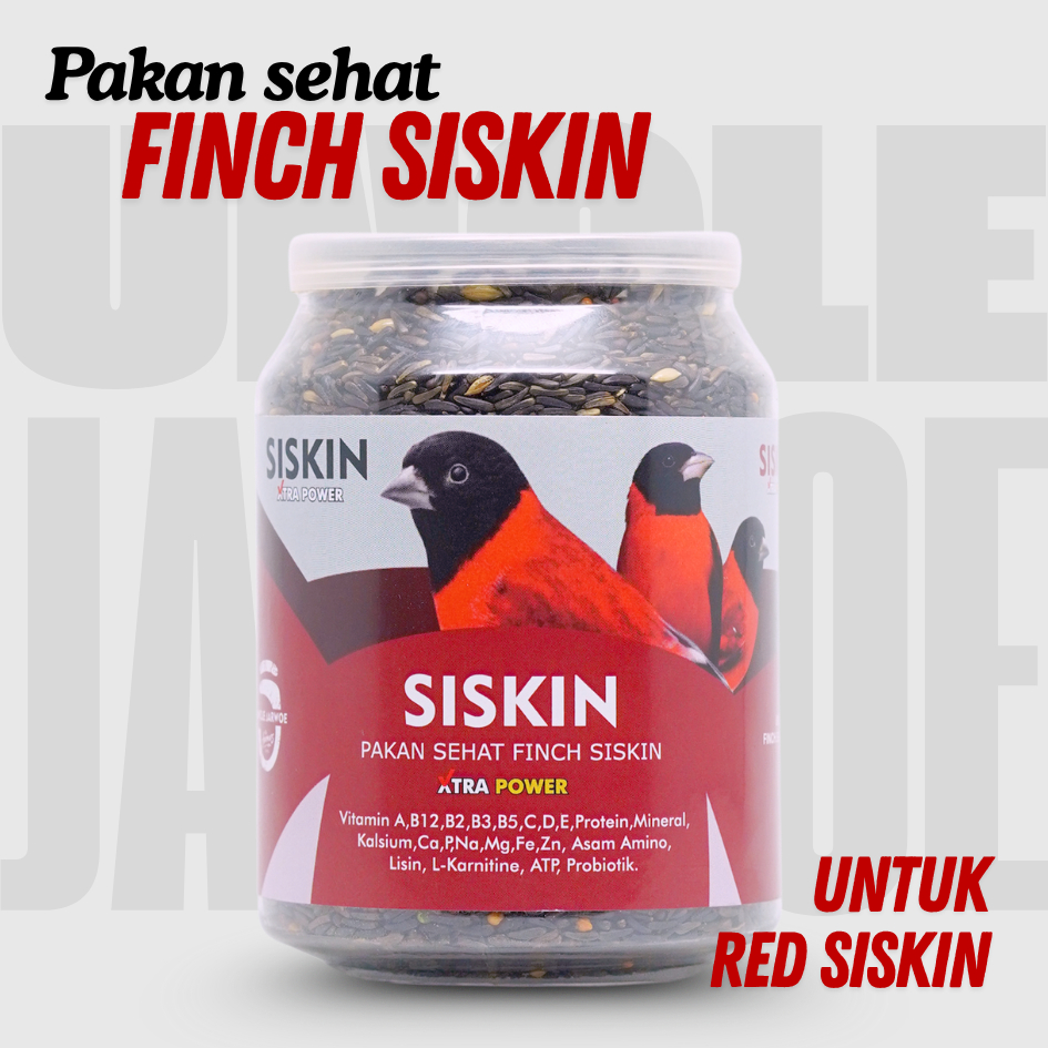 SISKIN - Caroll Pakan Penggacor Burung Red Siskin