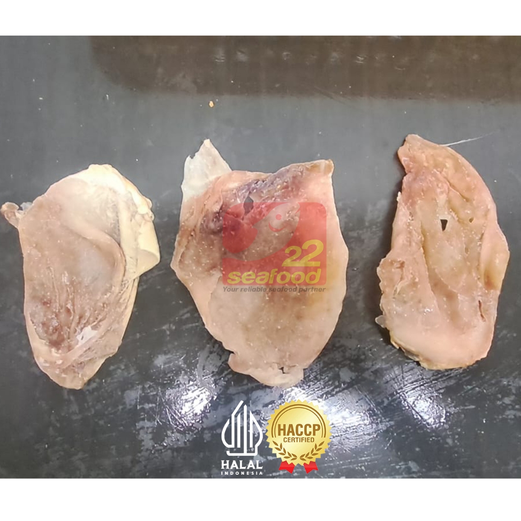 Fish Maw Ikan Kakap Putih Barramundi 200gr /Gelembung Perut Ikan