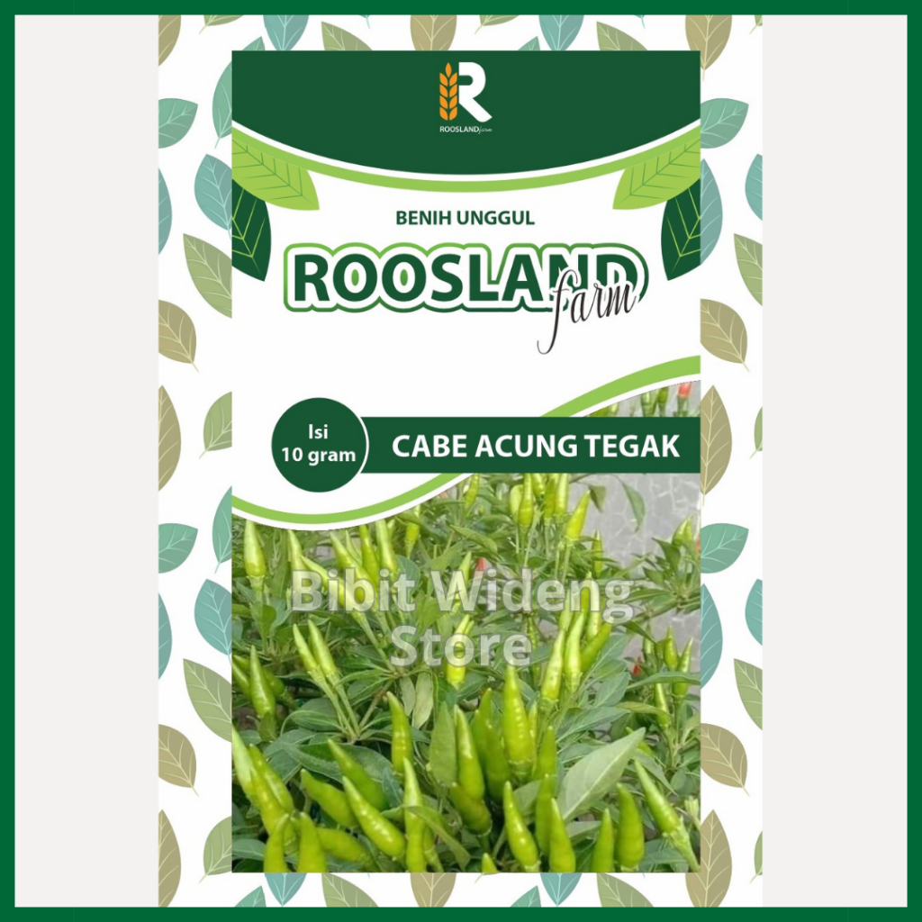 ( 10 GRAM ) BENIH CABE RAWIT ACUNG CAPLAK | RAWIT TEGAK | RAWIT HIJAU ACUNG TEGAK