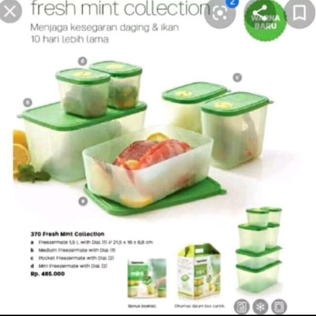 Fresh Mint Collection Tupperware