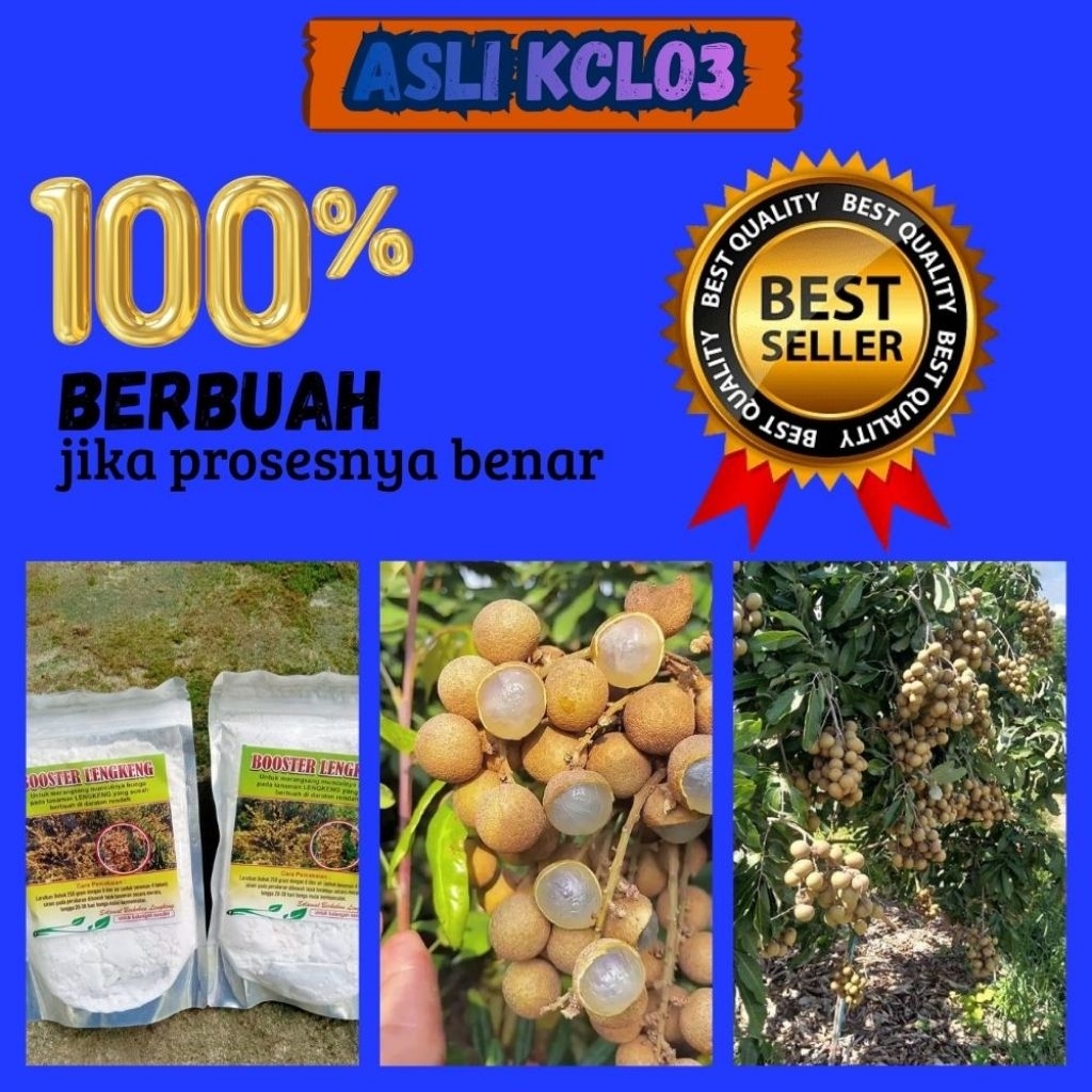 Pupuk Kelengkeng Kclo3