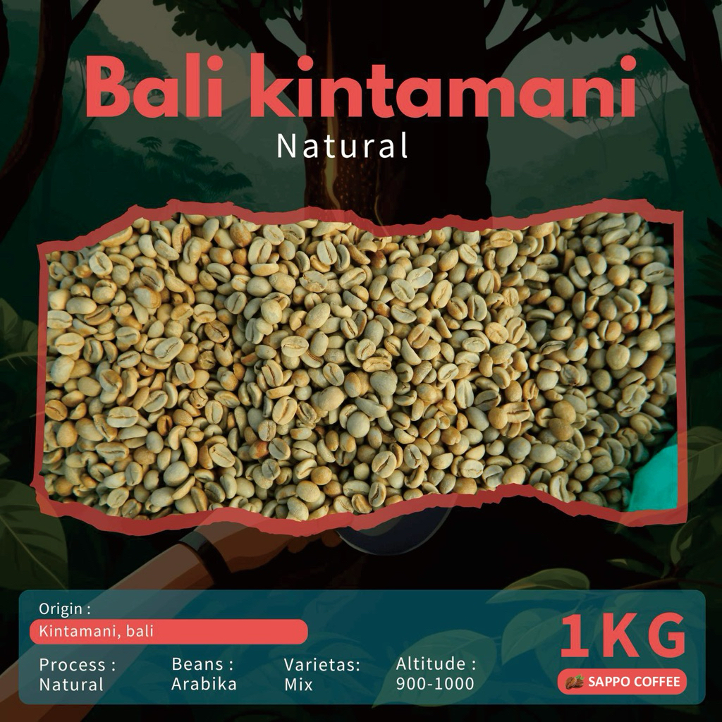 Green Bean Bali Kintamani Natural - biji kopi mentah