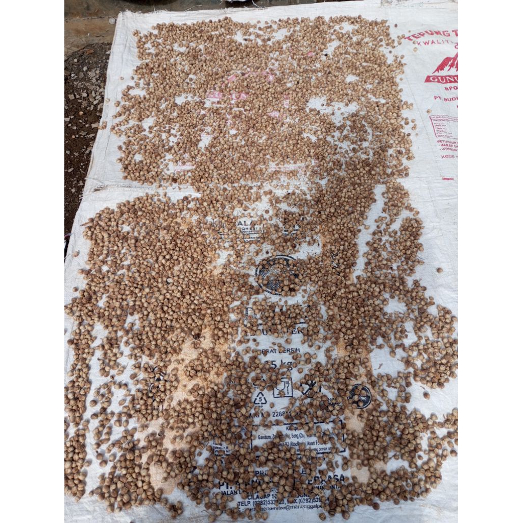 Kapolaga kering|kapolaga rempah|langsung dari petani.