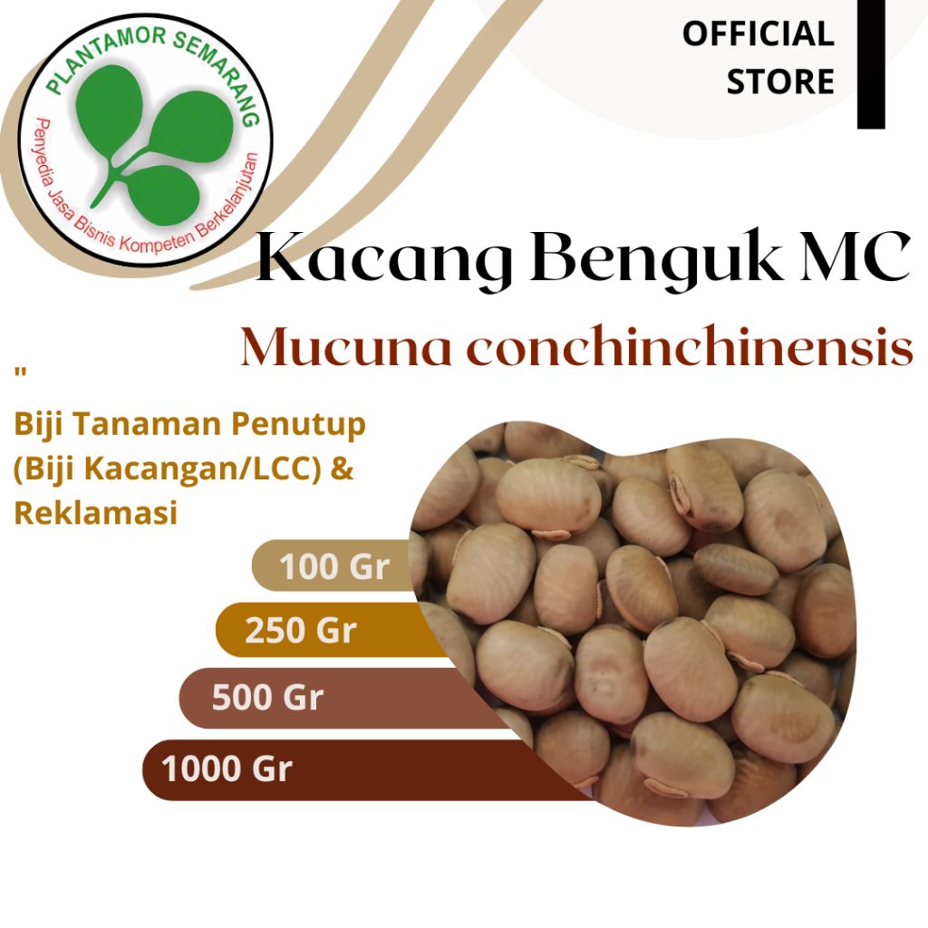Benih MC Mucuna Cochinchinensis / Benih LCC / Kemasan 100 - 1000 gr