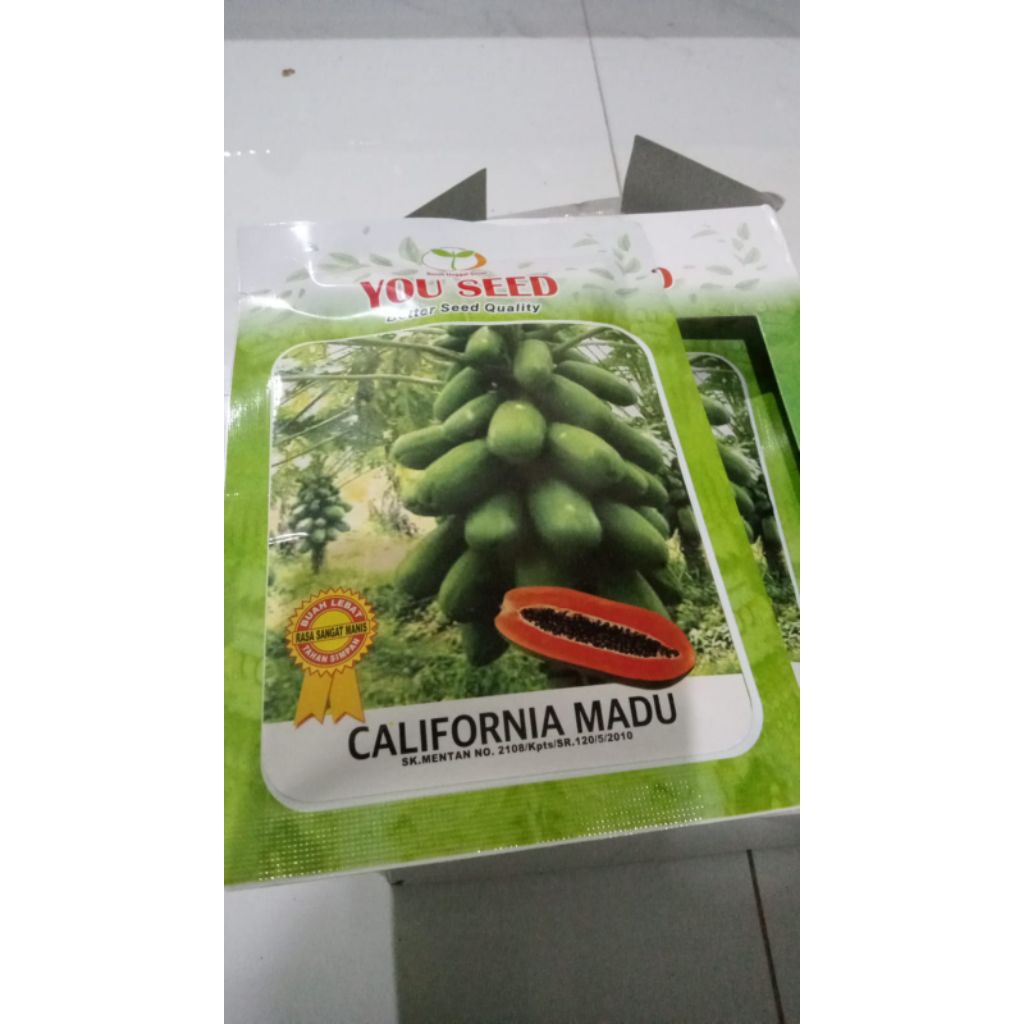 bibit atau benih unggul pepaya California madu you seed
