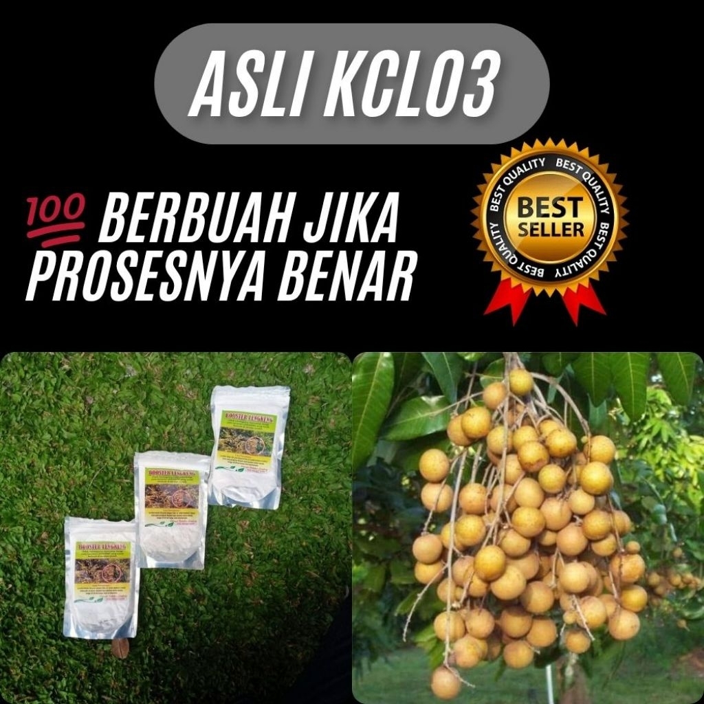 Pupuk Kelengkeng Kclo3