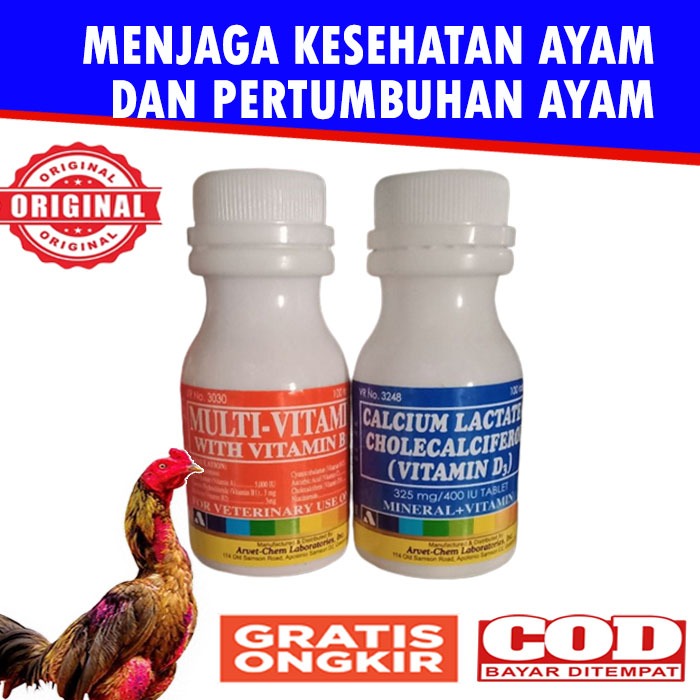 Paket MULTIVITAMIN & CALCIUM LACTATE Ayam Bangkok Filipin Laga Aduan Original