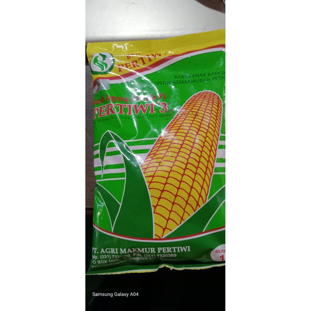 bibit jagung hibrida pertiwi 3