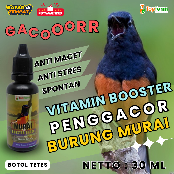 Vitamin Burung Murai 30ML/ Vitamin Penggacor Murai/ Vitamin Murai Batu/ Vitamin Murai 30ML/ Vitamin 
