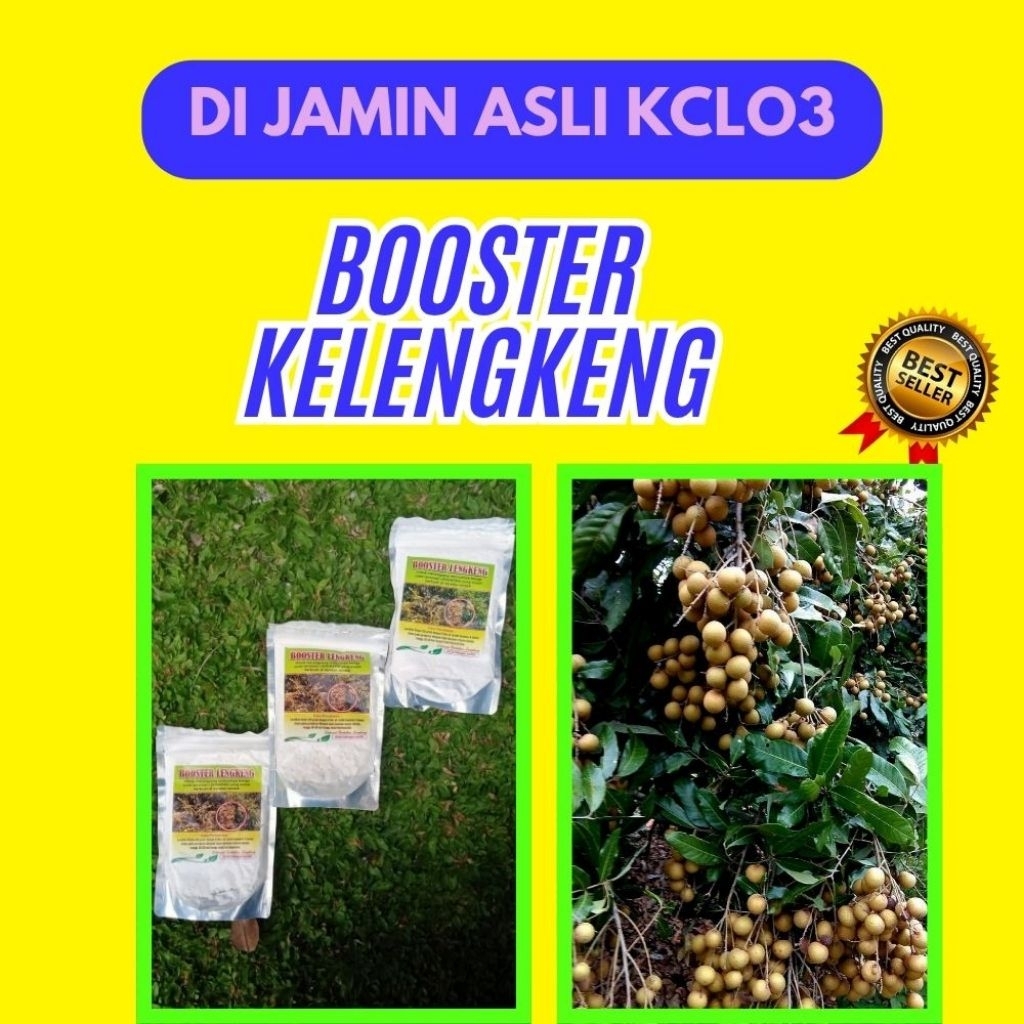 Booster Kelengkeng Kclo3