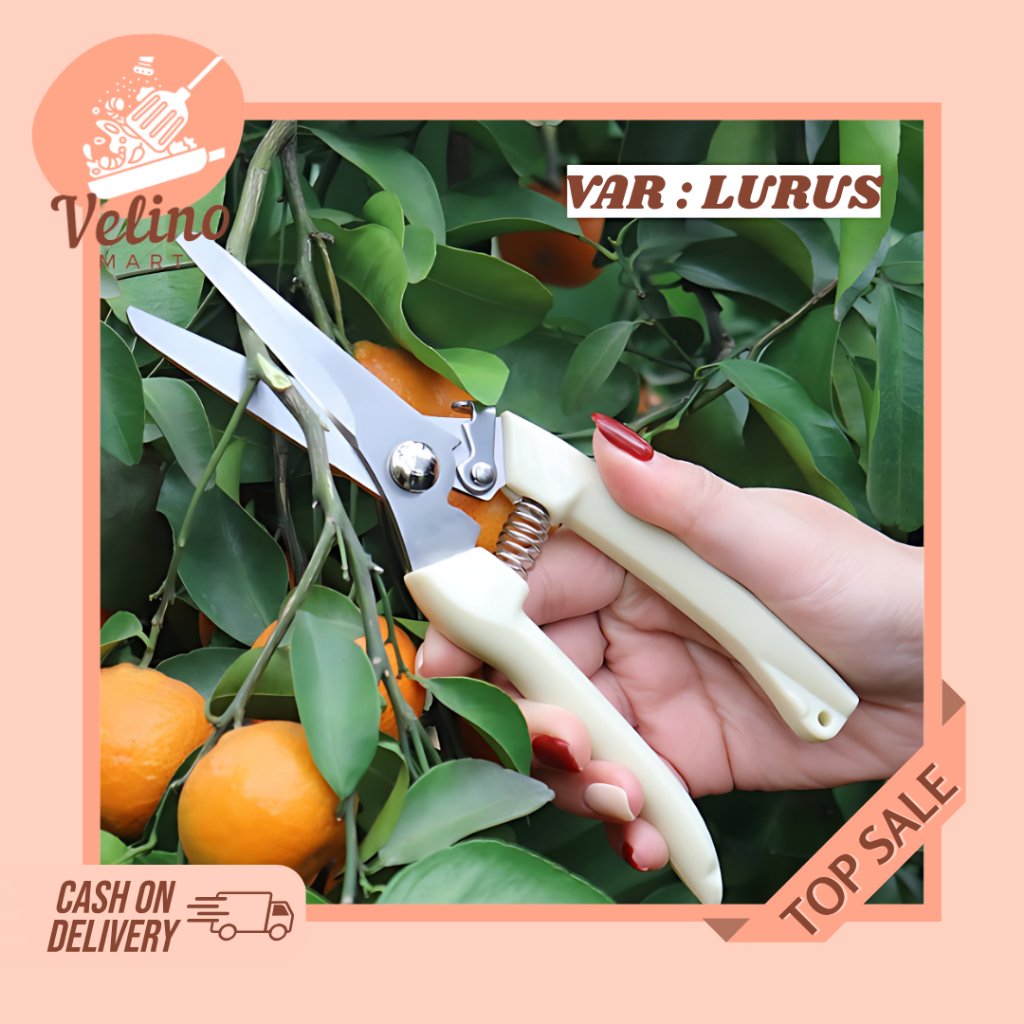 Gunting Dahan Ranting Lurus / Gunting Tanaman Super Tajam / Alat Berkebun / Gunting Bonsai