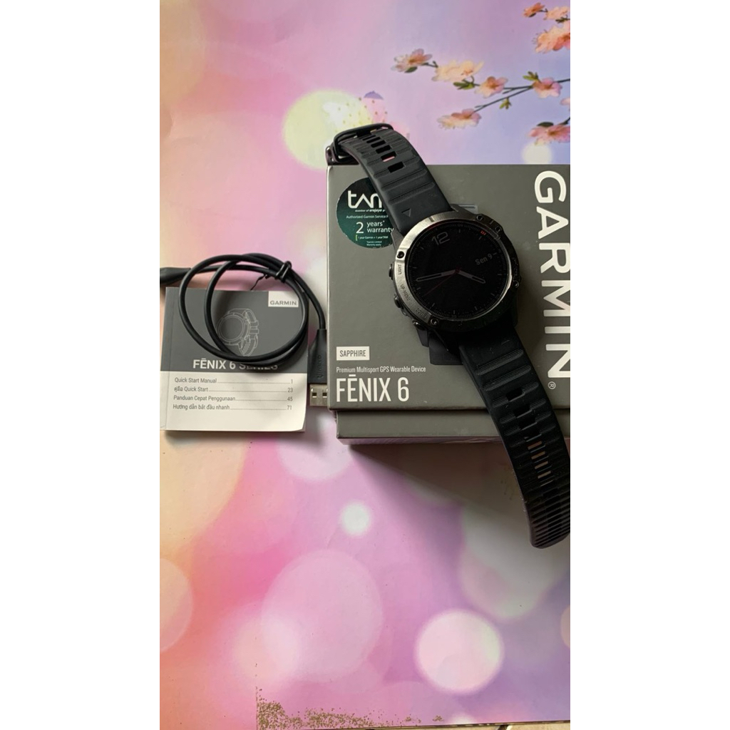 Garmin Smartwatch Fenix 6 Sapphire