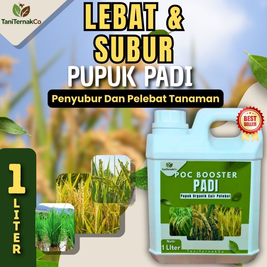 Pupuk Padi Penyubur Tanaman Booster Padi Perangsang Malai & Pembesar Bulir  Agar Padi Subur