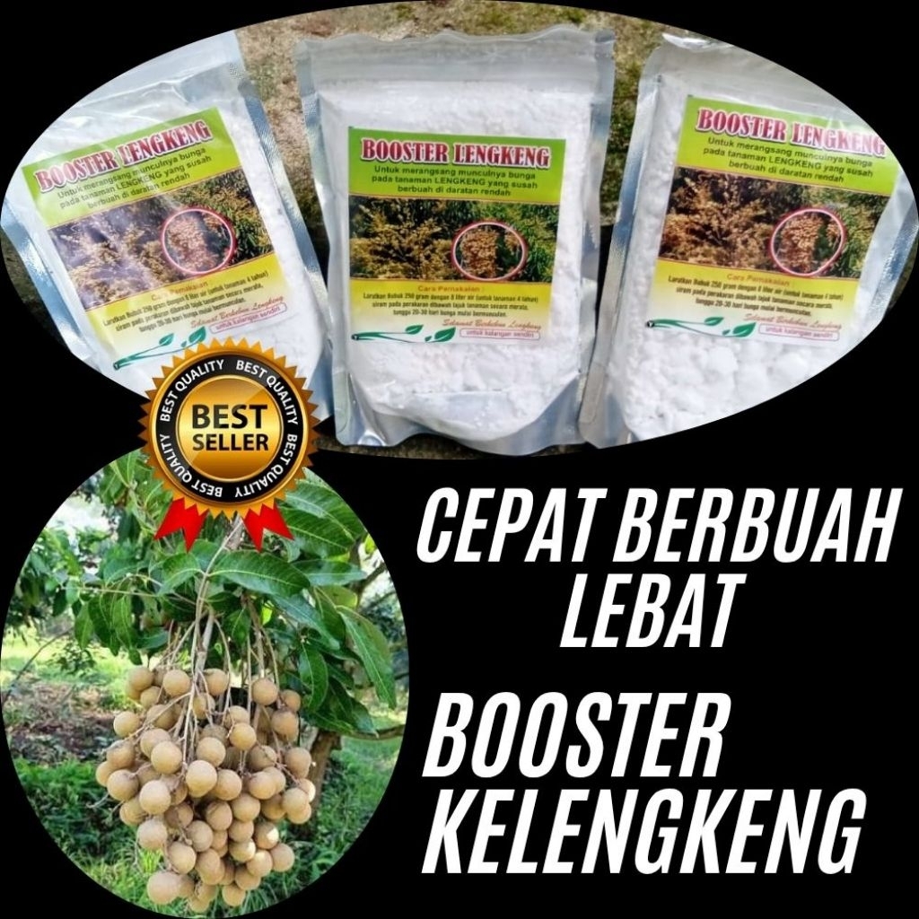 Pupuk Kelengkeng Merah, Pupuk Kelengkeng New Kristal, Pupuk Kelengkeng Saat Berbunga